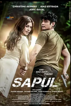 联合惩治 Sapul (2023)海报-八度影院