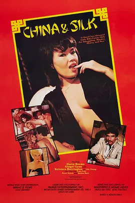丝绸之路 (1984)海报-八度影院