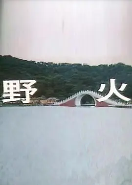 野火 (1987)海报-八度影院