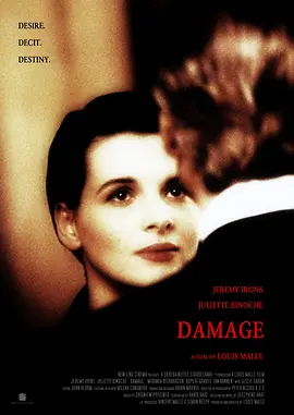 烈火情人 Damage (1992)海报-八度影院