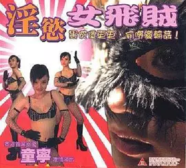 淫欲女飞贼 (2005)海报-八度影院