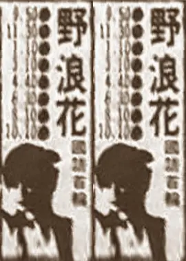 野浪花 (1987)海报-八度影院