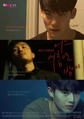 一个夏夜 어느 여름날 밤에 (2017)海报-八度影院