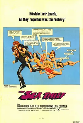 采花贼 The Sex Thief (1977)海报-八度影院