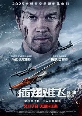 插翅难飞 Flight Risk (2025)海报-八度影院