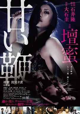 甜蜜皮鞭 甘い鞭 (2013)海报-八度影院