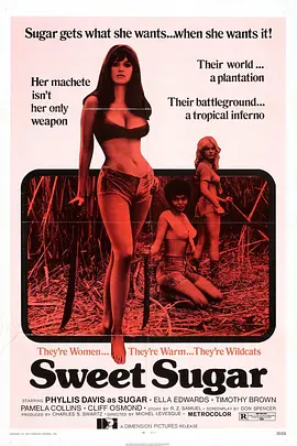 蜜糖 Sweet Sugar (1974)海报-八度影院