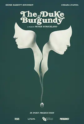 勃艮第公爵 The Duke of Burgundy (2014)海报-八度影院
