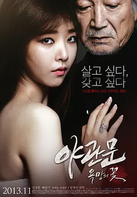 夜关门：欲望之花 야관문 : 욕망의 꽃 (2013)海报-八度影院