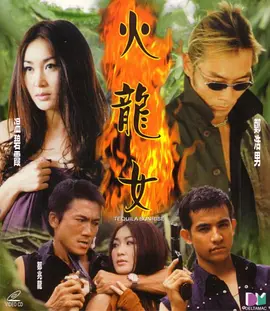 火龙女 (2000)海报-八度影院