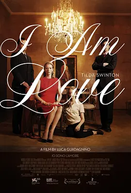 我是爱 Io sono l'amore海报-八度影院