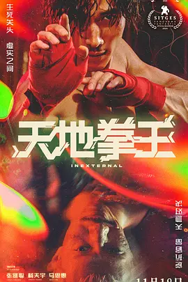天地拳王 裡應外合海报-八度影院