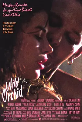 野兰花 Wild Orchid海报-八度影院