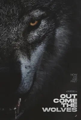 狼群出动 Out Come the Wolves海报-八度影院