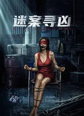 迷案寻凶海报-八度影院