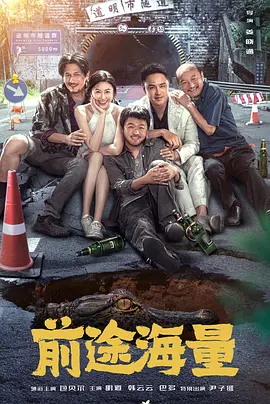 前途海量海报-八度影院
