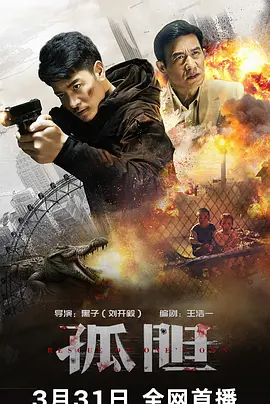 孤胆海报-八度影院