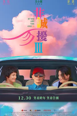 非诚勿扰3海报-八度影院