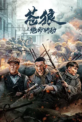 苍狼之绝命行动海报-八度影院