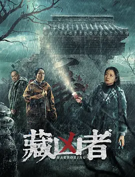 藏凶者海报-八度影院