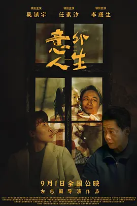 意外人生海报-八度影院