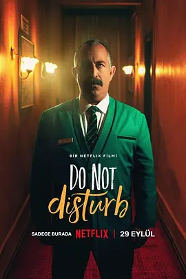 Do Not Disturb: Ayzek ile Bir Gece 2023海报-八度影院