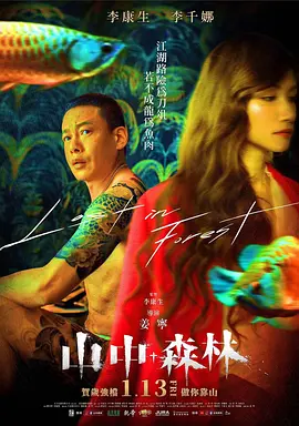 山中森林海报-八度影院