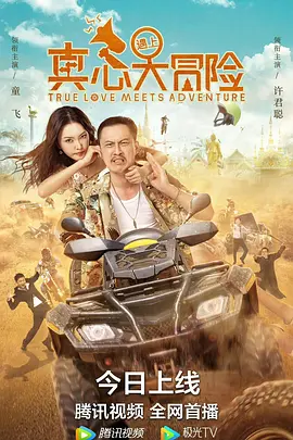 真心遇上大冒险海报-八度影院