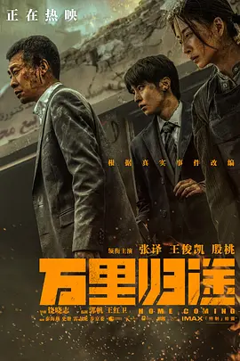 万里归途海报-八度影院